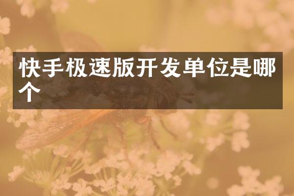 快手极速版开发单位是哪个