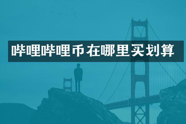 哔哩哔哩币在哪里买划算