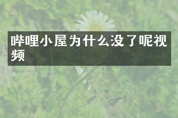 哔哩小屋为什么没了呢视频