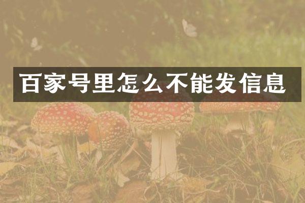 百家号里怎么不能发信息