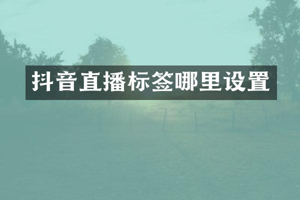 抖音直播标签哪里设置