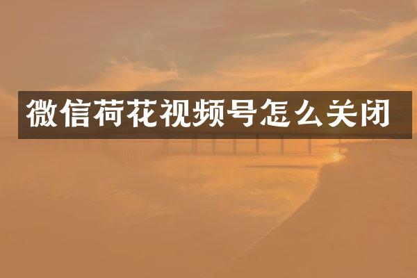 微信荷花视频号怎么关闭