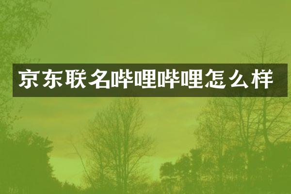 京东联名哔哩哔哩怎么样