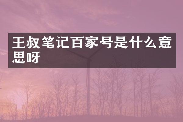 王叔笔记百家号是什么意思呀