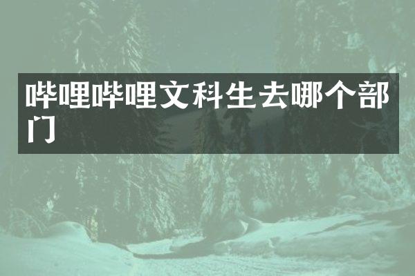 哔哩哔哩文科生去哪个部门