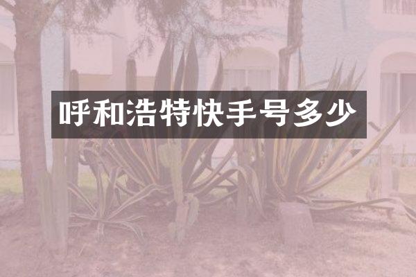 呼和浩特快手号多少