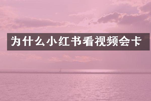 为什么小红书看视频会卡