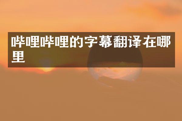 哔哩哔哩的字幕翻译在哪里