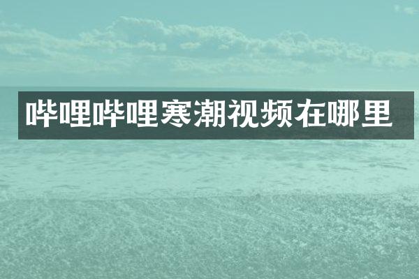 哔哩哔哩寒潮视频在哪里