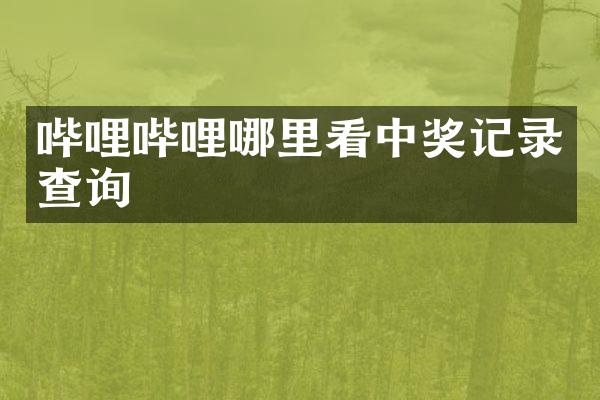 哔哩哔哩哪里看中奖记录查询