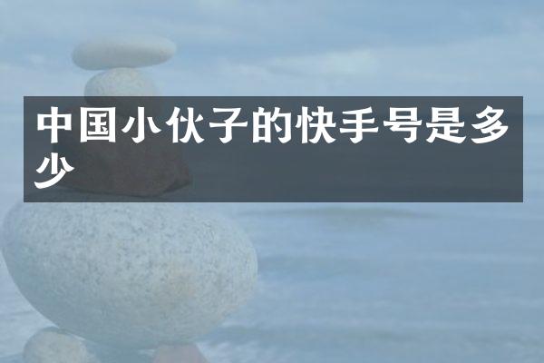 中国小伙子的快手号是多少