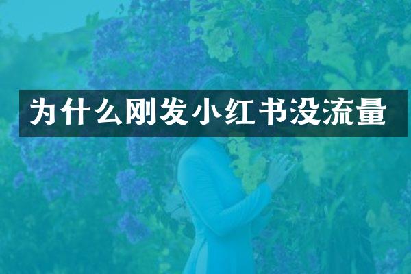 为什么刚发小红书没流量