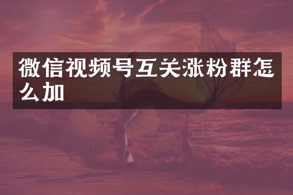 微信视频号互关涨粉群怎么加