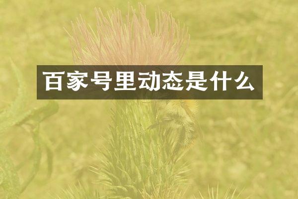 百家号里动态是什么