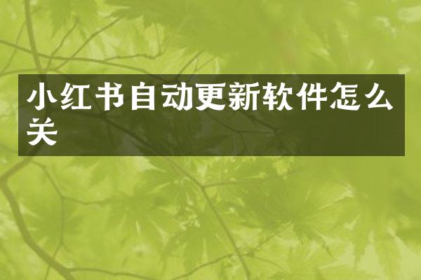 小红书自动更新软件怎么关