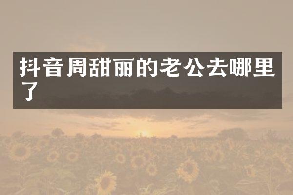 抖音周甜丽的老公去哪里了