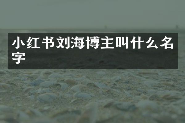 小红书刘海博主叫什么名字