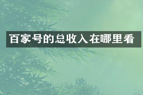 百家号的总收入在哪里看