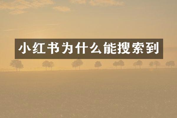 小红书为什么能搜索到
