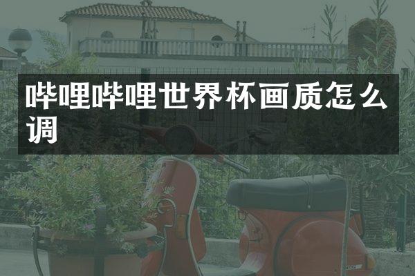 哔哩哔哩世界杯画质怎么调