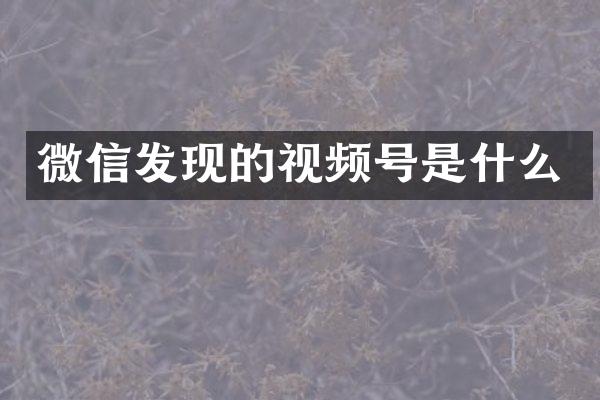 微信发现的视频号是什么