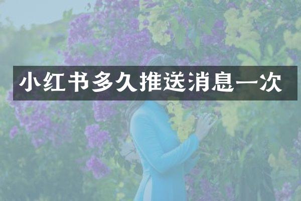 小红书多久推送消息一次