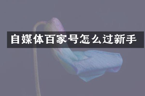 自媒体百家号怎么过新手