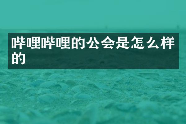 哔哩哔哩的公会是怎么样的