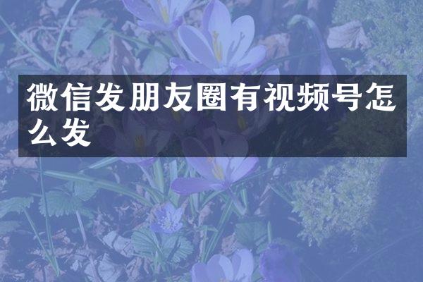 微信发朋友圈有视频号怎么发