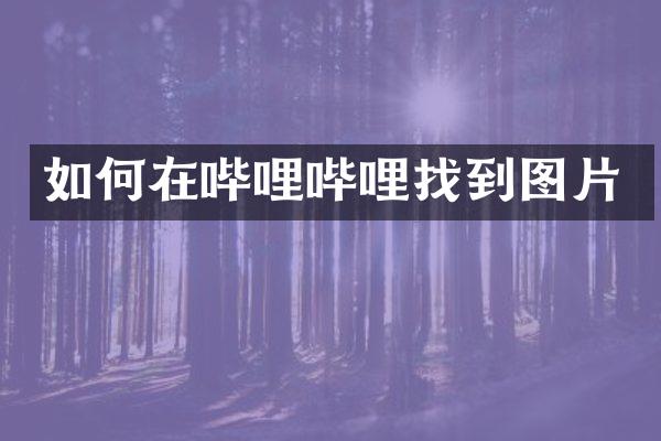 如何在哔哩哔哩找到图片