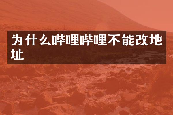 为什么哔哩哔哩不能改地址