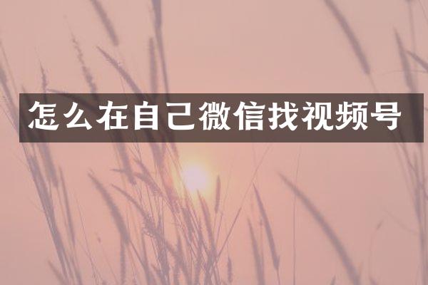 怎么在自己微信找视频号