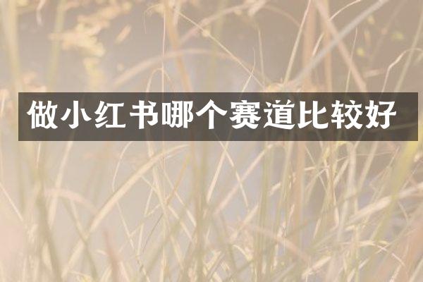 做小红书哪个赛道比较好