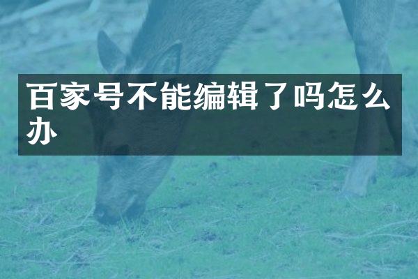 百家号不能编辑了吗怎么办