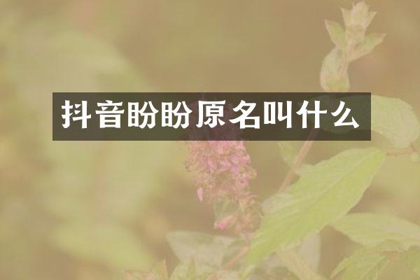 抖音盼盼原名叫什么