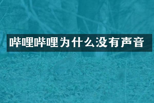 哔哩哔哩为什么没有声音