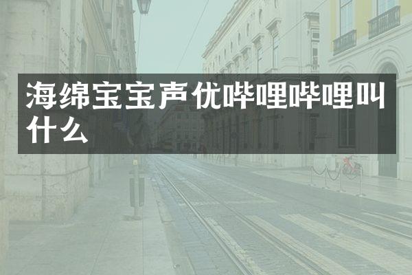 海绵宝宝声优哔哩哔哩叫什么