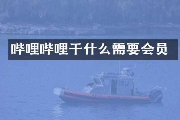 哔哩哔哩干什么需要会员