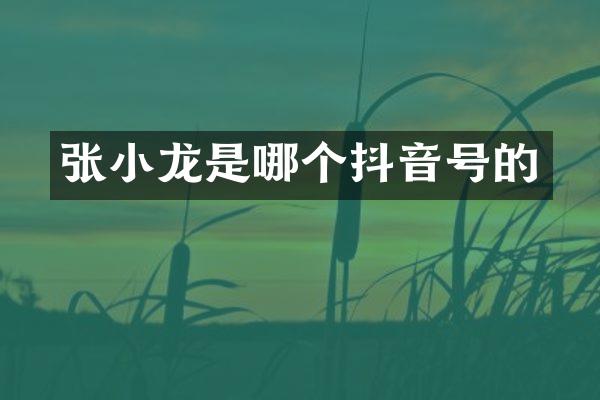 张小龙是哪个抖音号的