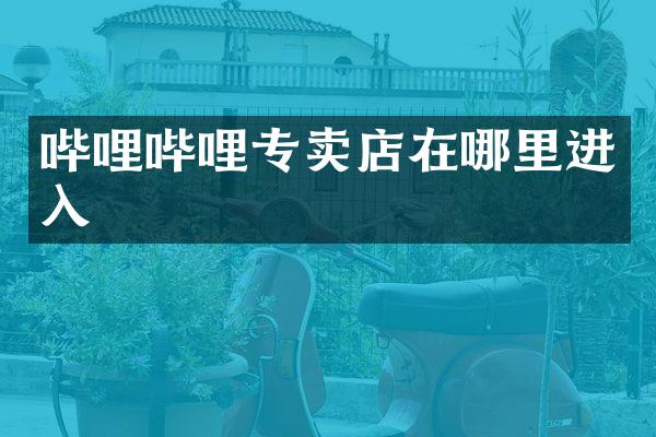 哔哩哔哩专卖店在哪里进入