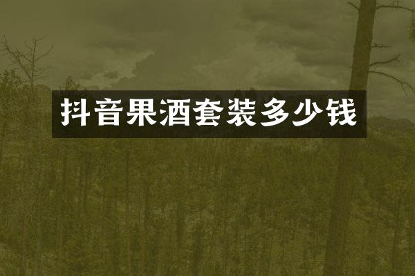 抖音果酒套装多少钱