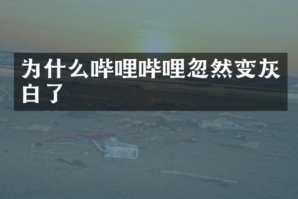 为什么哔哩哔哩忽然变灰白了