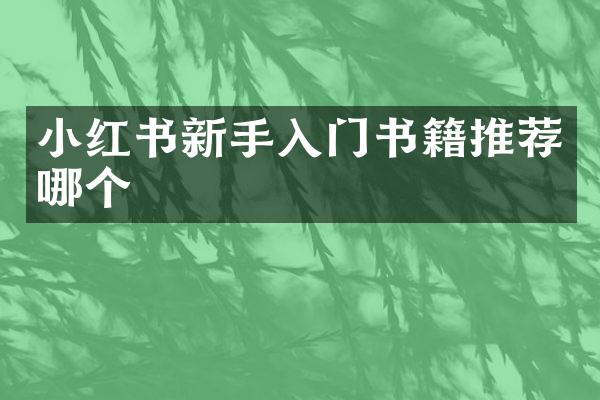 小红书新手入门书籍推荐哪个
