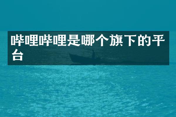 哔哩哔哩是哪个旗下的平台