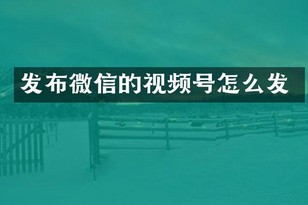 发布微信的视频号怎么发