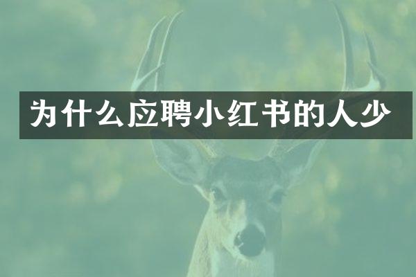 为什么应聘小红书的人少