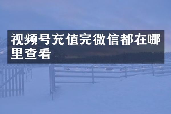 视频号充值完微信都在哪里查看