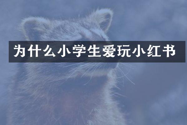 为什么小学生爱玩小红书