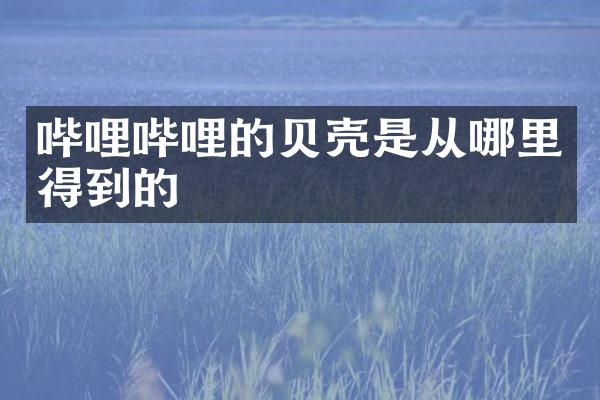 哔哩哔哩的贝壳是从哪里得到的