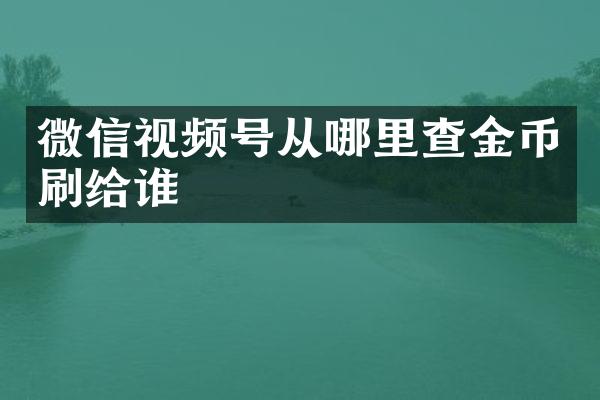 微信视频号从哪里查金币刷给谁